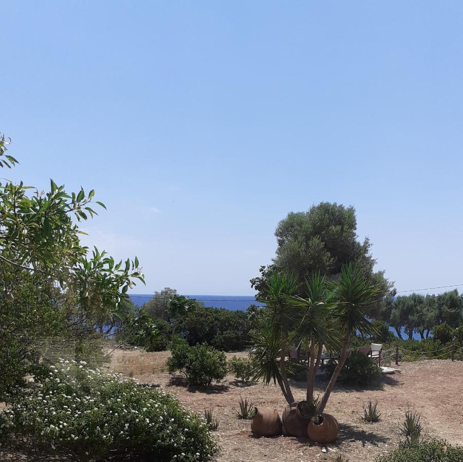 Masticha Village Apartments & Studios Monolia Dış mekan fotoğraf
